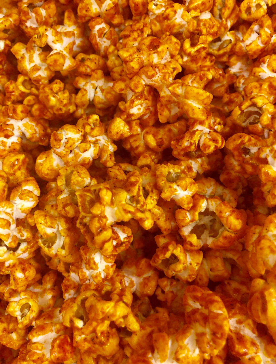 Gourmet Large Popcorn Bag