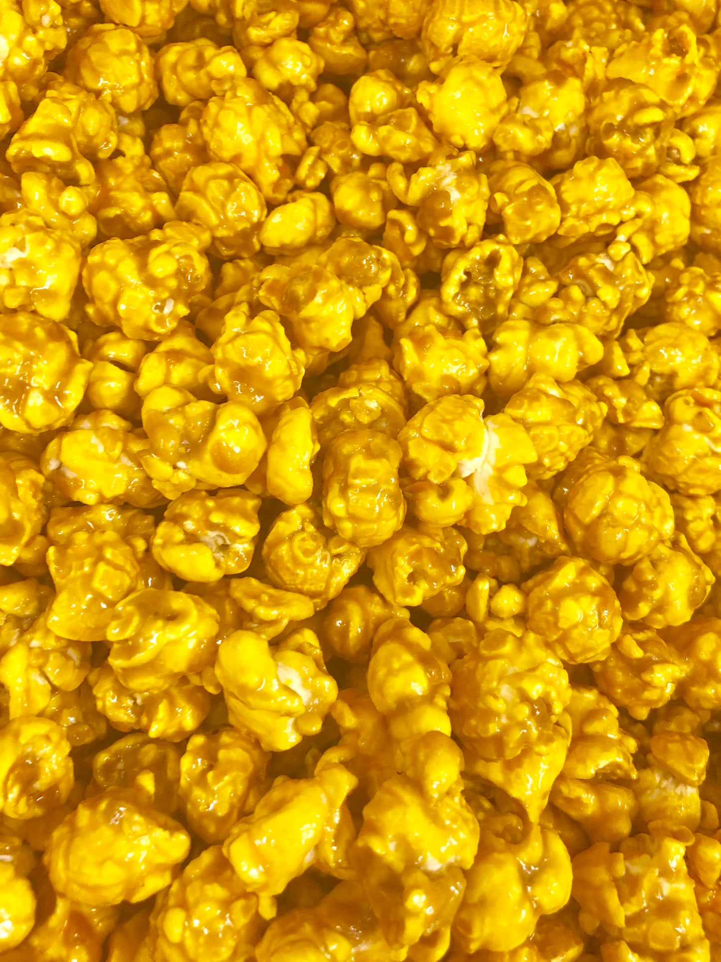 Gourmet Large Popcorn Bag