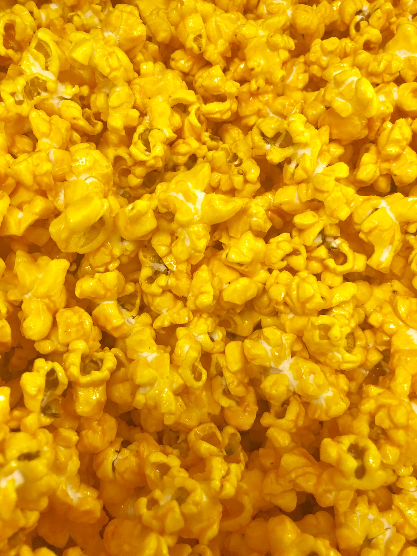 Gourmet Large Popcorn Bag