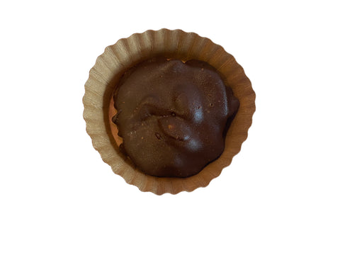 Turtles