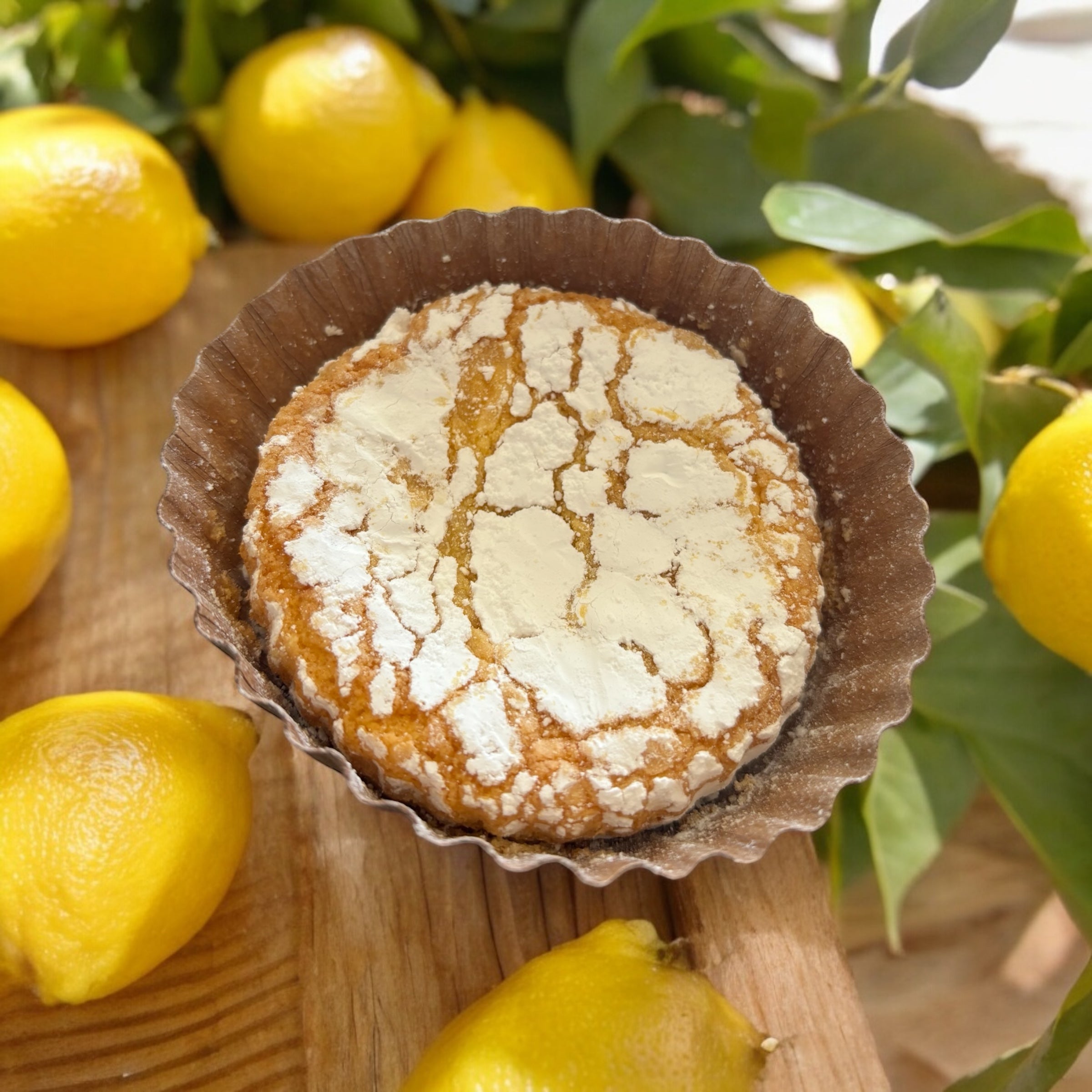 Lemon Cheesecake