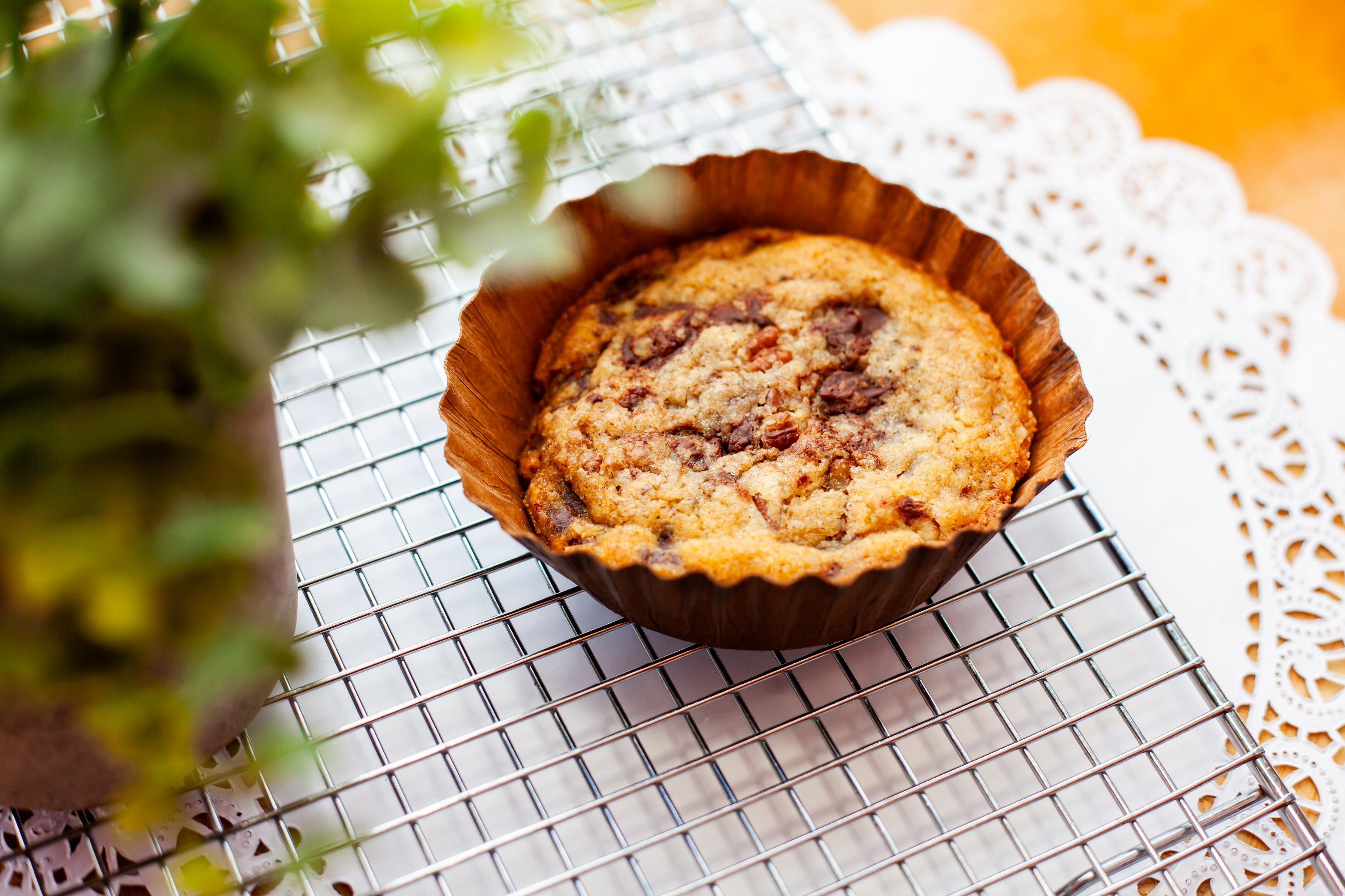Chocolate Chip Pecan Cookie