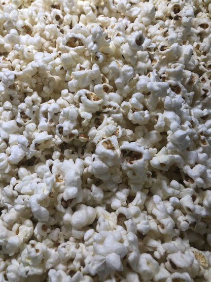 Gourmet Large Popcorn Bag