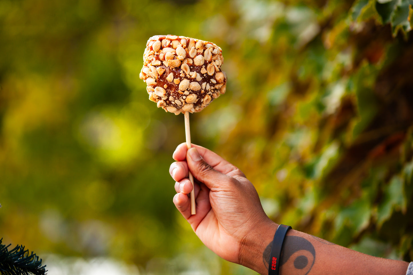 Gourmet Caramel-Dipped Apples Trio