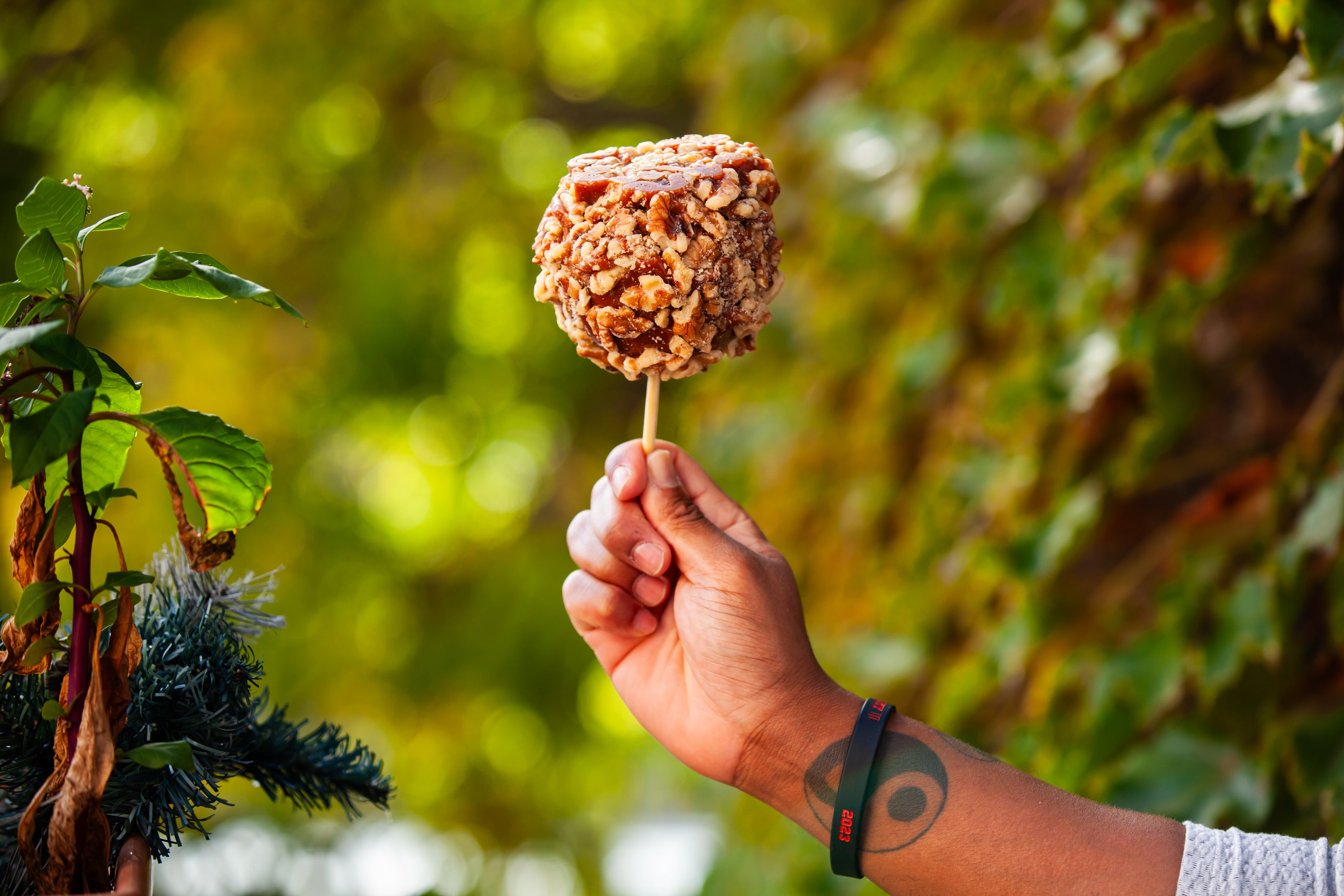 Caramel Walnut Apple